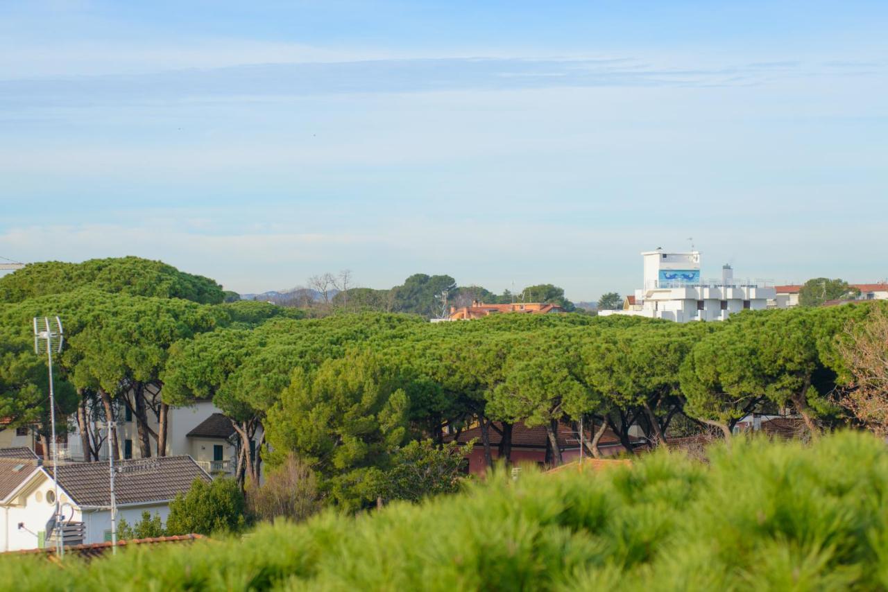 Hotel Palace Domus Mea